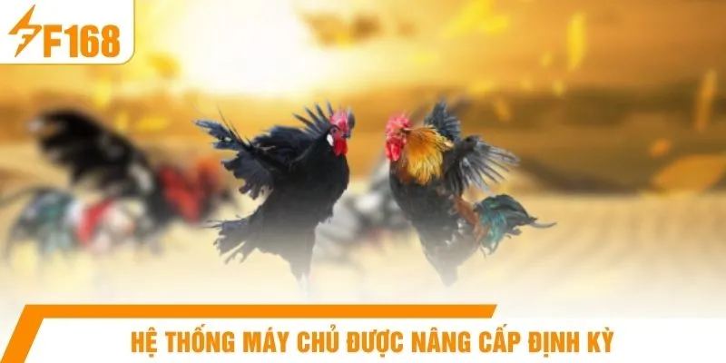 Hệ thống máy chủ được nâng cấp định kỳ